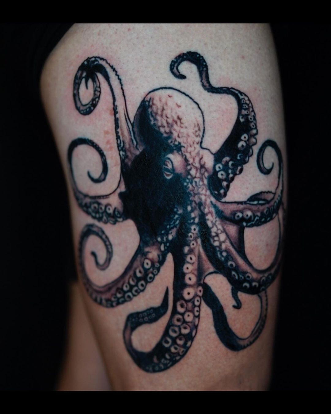 Octopus illustration tattoo by Ben Spear at Inkcredible Tattoo Studio in Virginia Beach